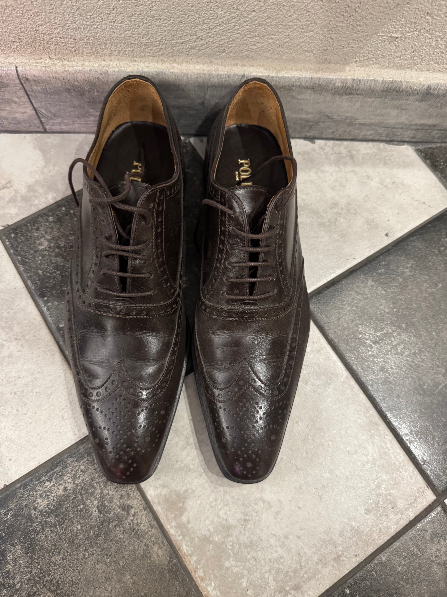 POLLINI