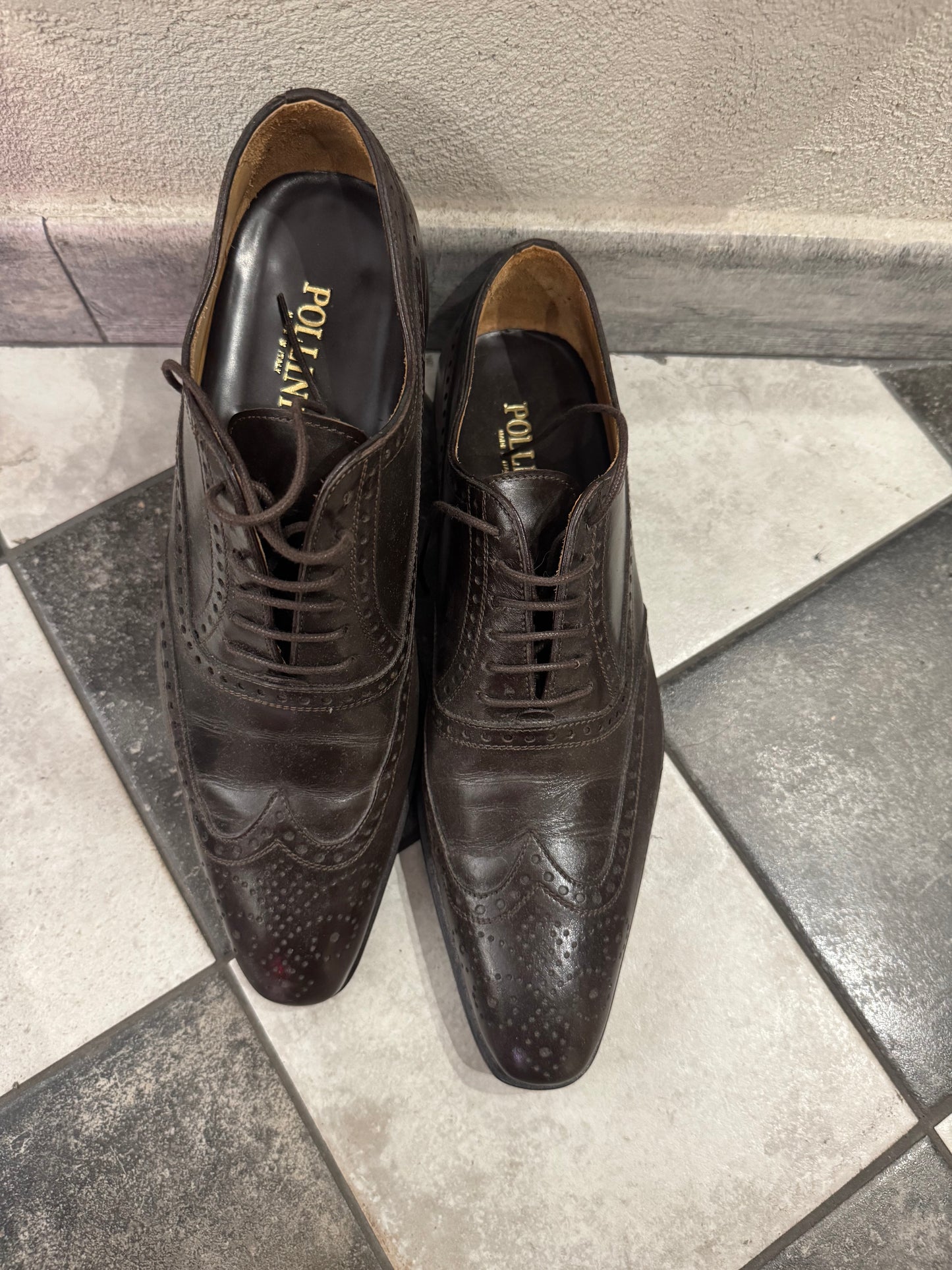 POLLINI